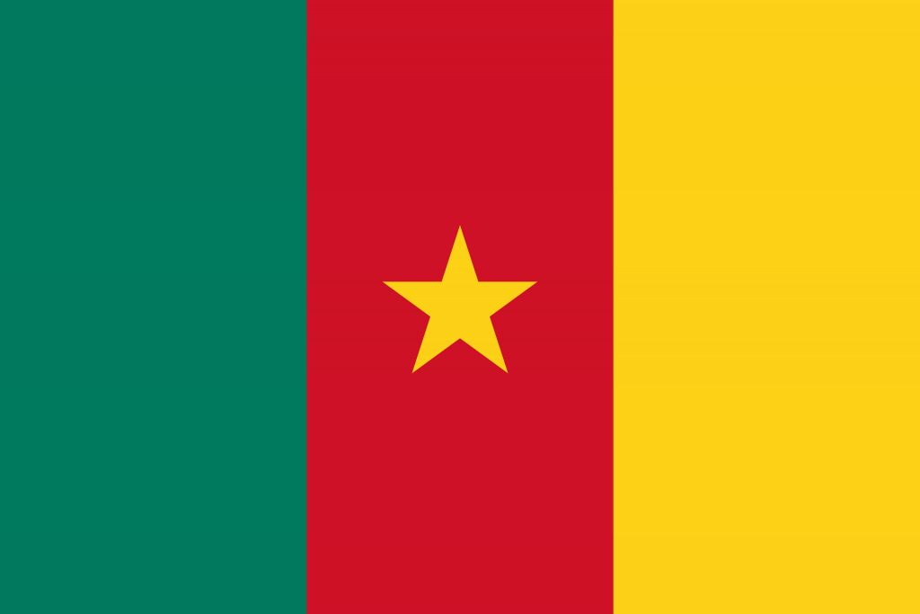 Cameroon flag