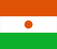 Niger flag